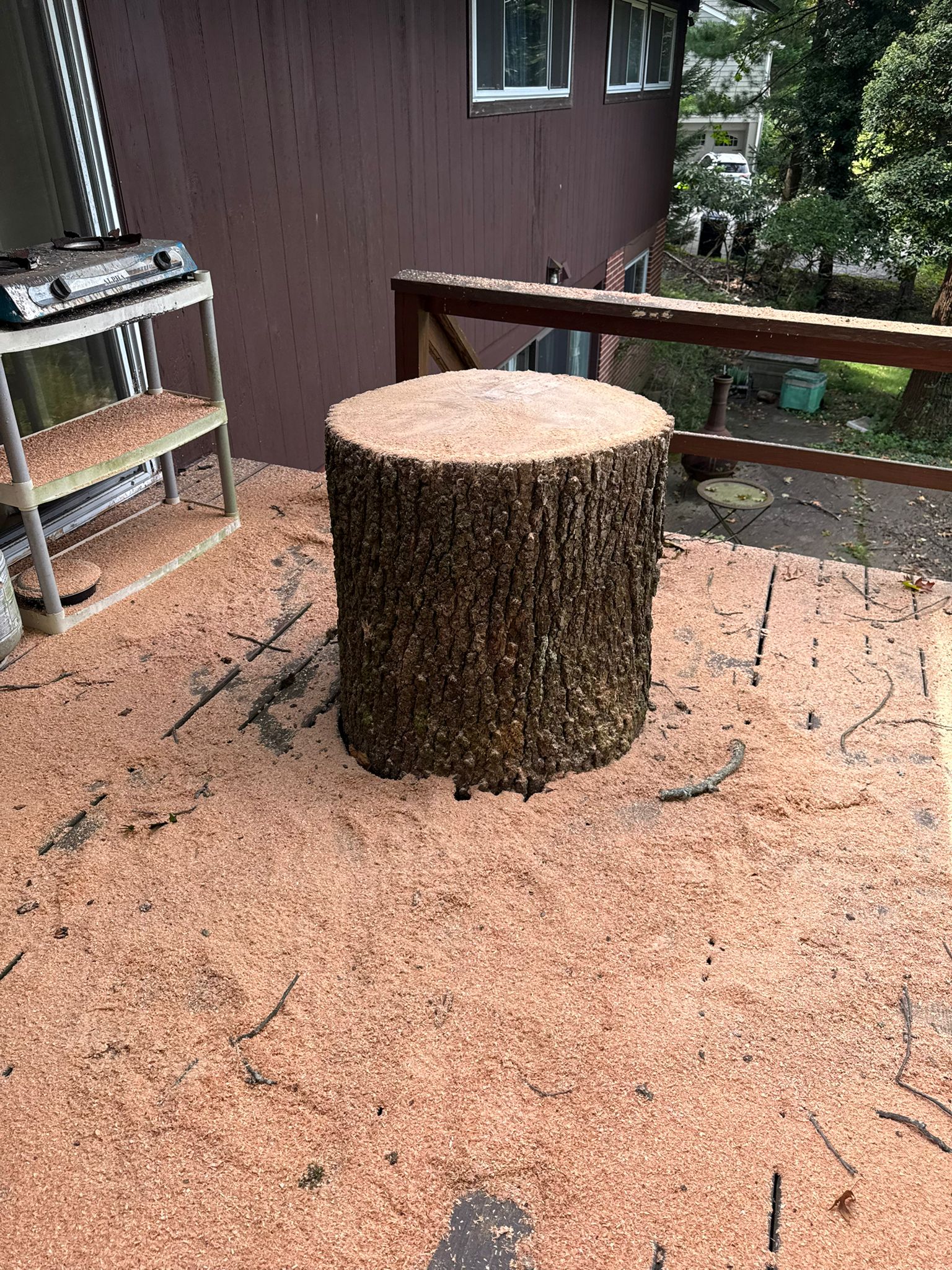 Precision tree removal