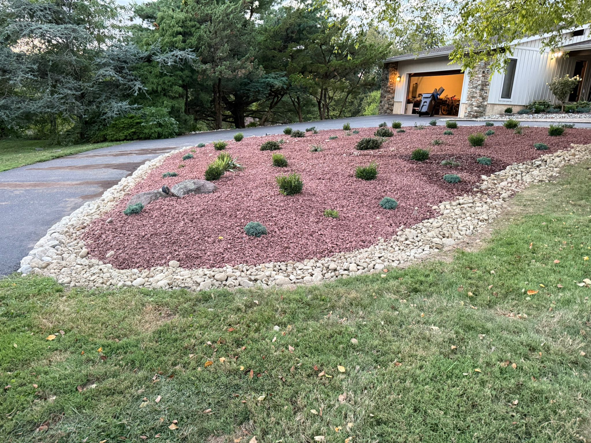 DA Tree Service at work